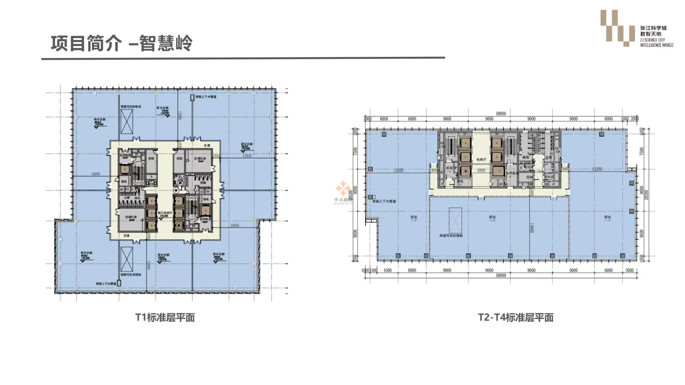 張江科學(xué)城數(shù)智天地·智慧嶺