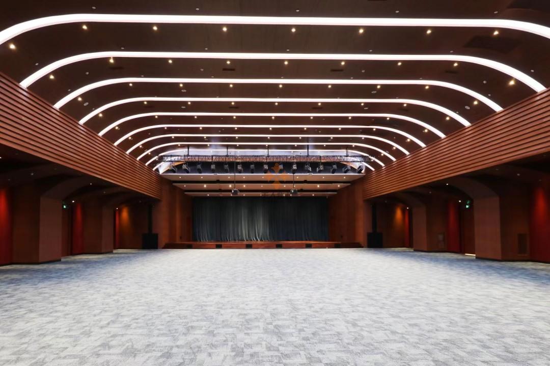 浦東 申迪文化中心 208平米 精裝
