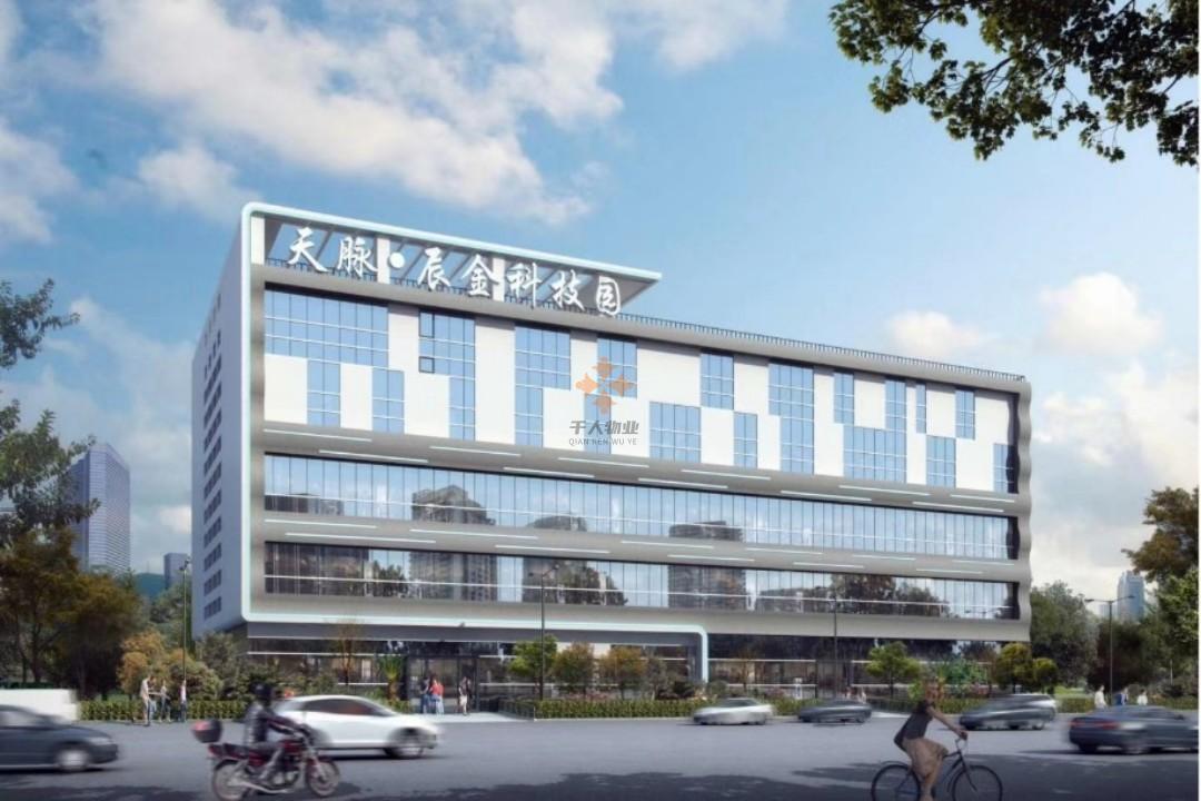 金橋天脈·辰金科技園