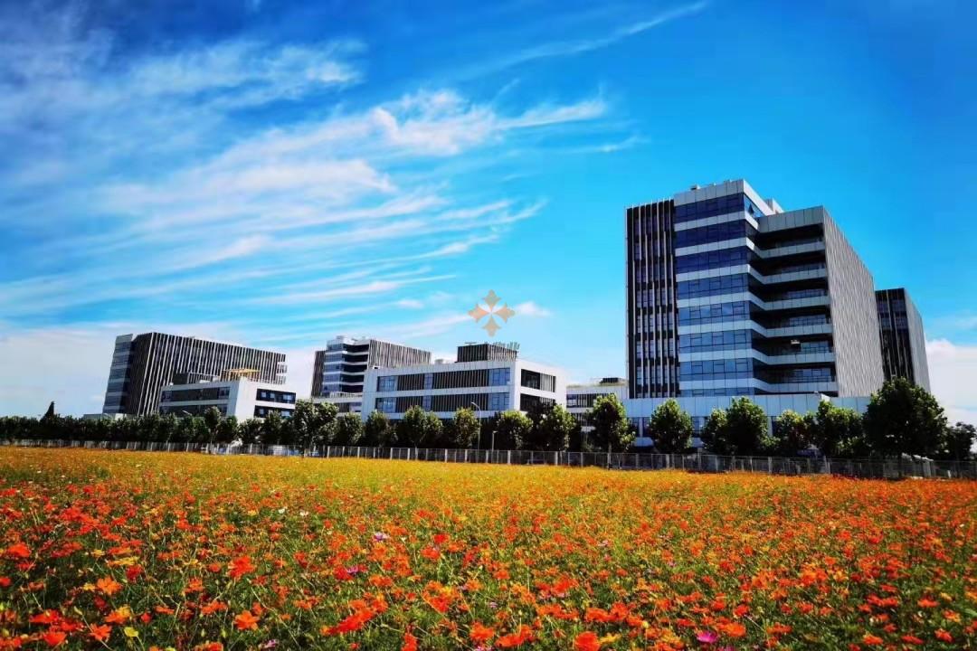 上海浦東軟件園三林園